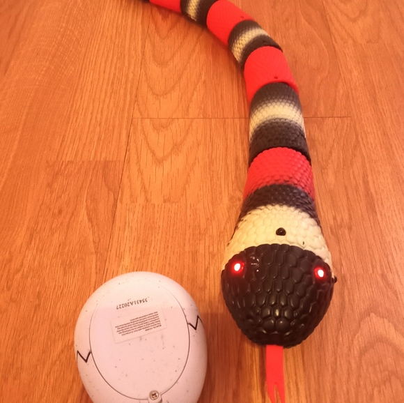 P. Remote control snake. The controler is shaped like like an egg. - Picture 3 of 7
